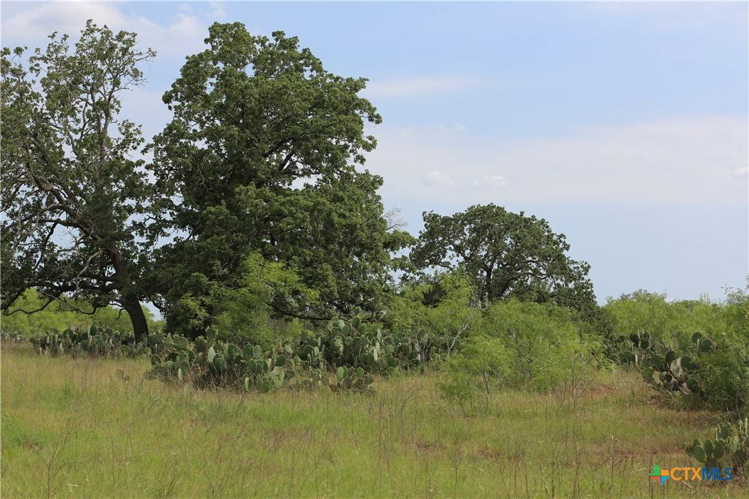Waelder, TX 78959,974 County Road 451