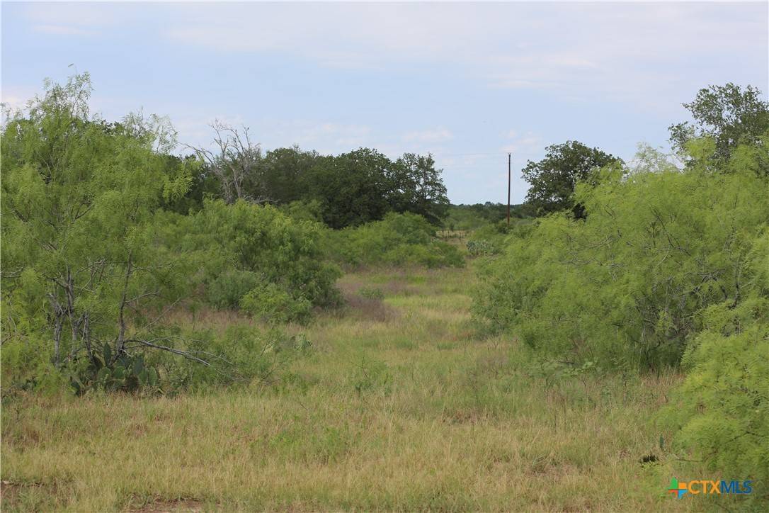 Waelder, TX 78959,974 County Road 451