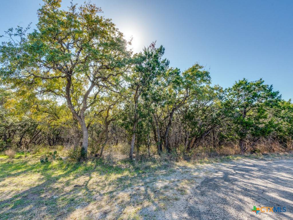 Spring Branch, TX 78070,223 Lakeview CIR