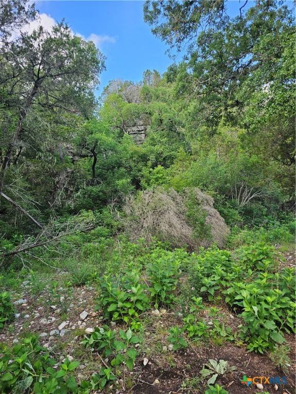 New Braunfels, TX 78132,0 Happy Hollow