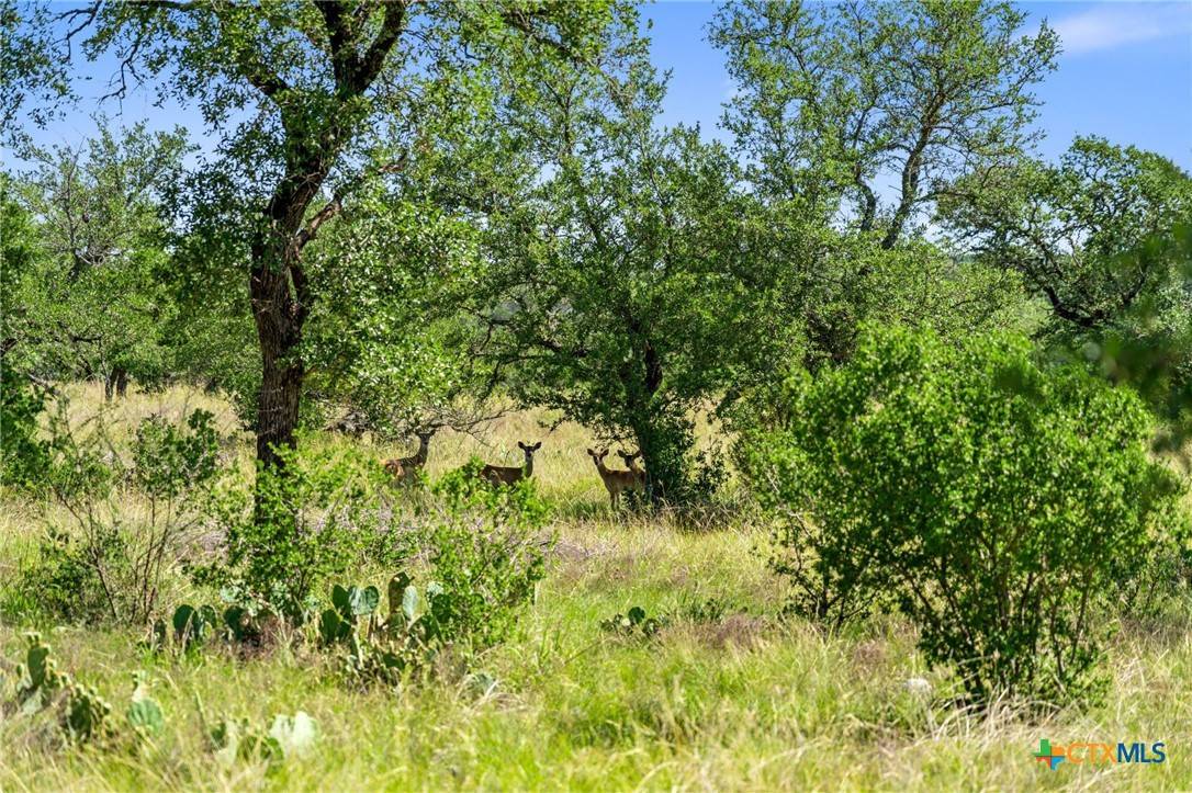 Johnson City, TX 78636,620 Rio Vista RD