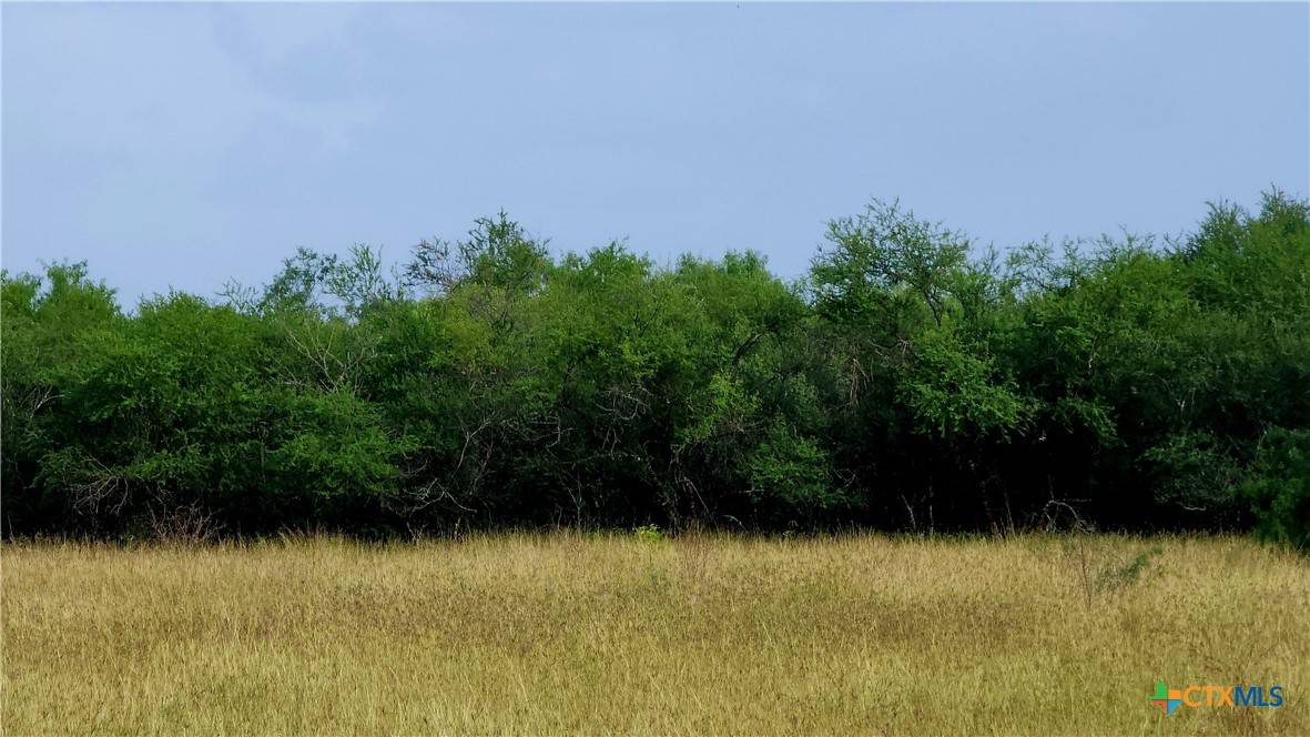 Victoria, TX 77905,00 San Antonio River RD