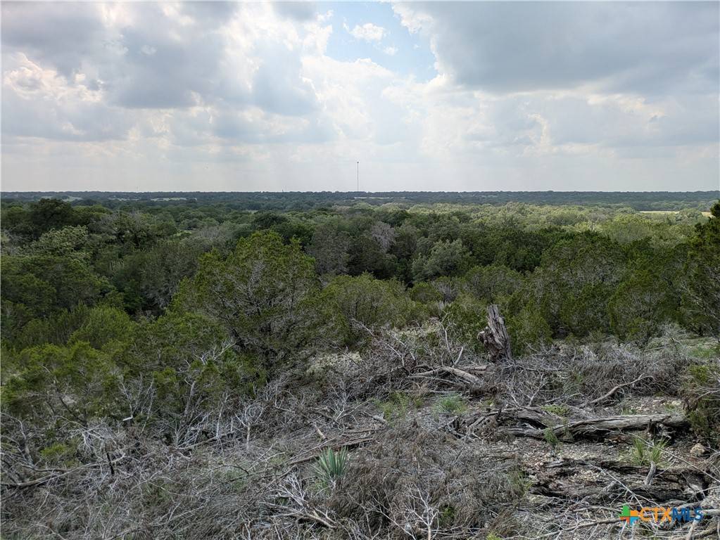 Kempner, TX 76539,Tract 2 County Road 4390