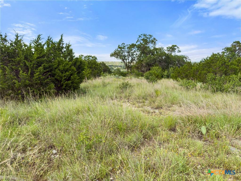 Spring Branch, TX 78070,110 Enigma AVE