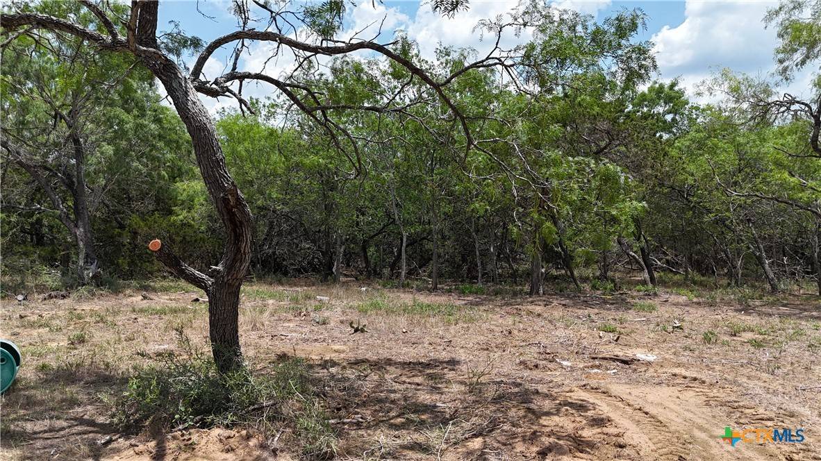 Dale, TX 78616,164 Fm 3158