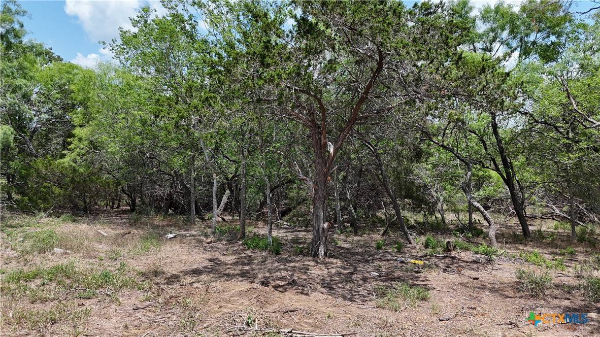 Dale, TX 78616,164 Fm 3158