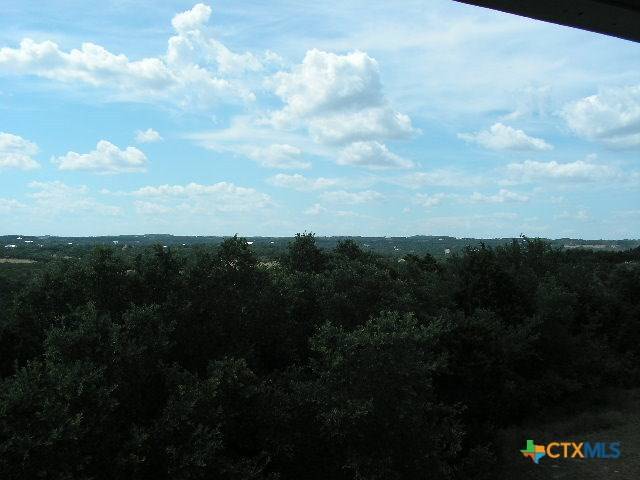 Spring Branch, TX 78070,234 Star Grass #1-B