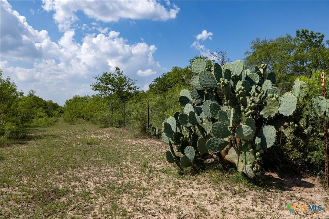 Dale, TX 78616,410 Green Acre DR