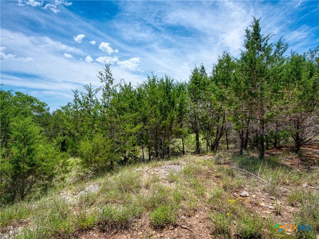 Canyon Lake, TX 78133,114 Oyster SPGS