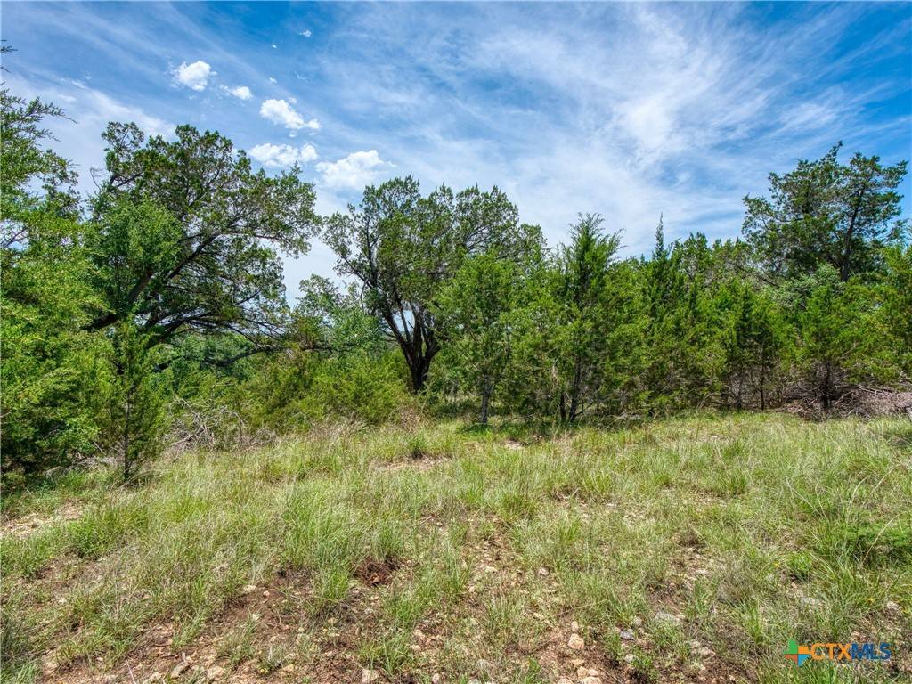 Canyon Lake, TX 78133,114 Oyster SPGS