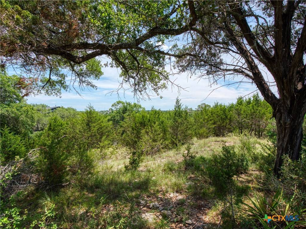 Canyon Lake, TX 78133,114 Oyster SPGS