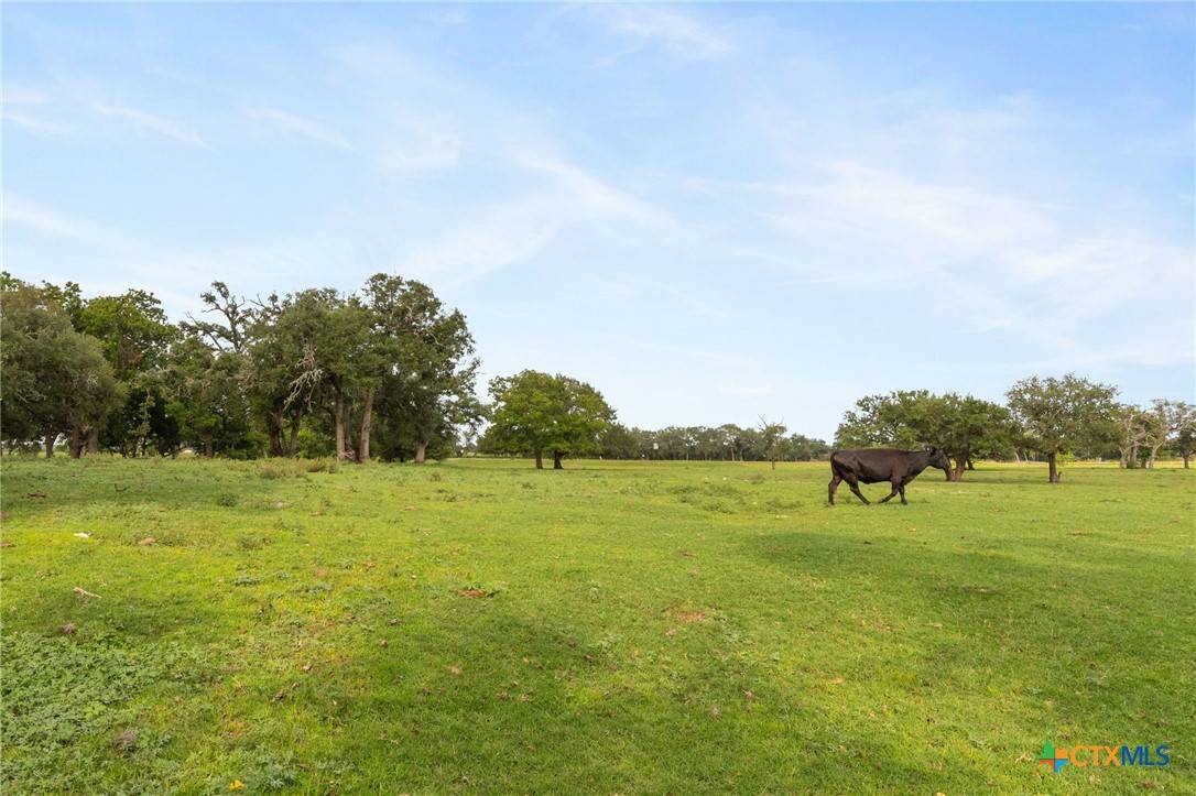 Seguin, TX 78155,TBD E Martindale RD