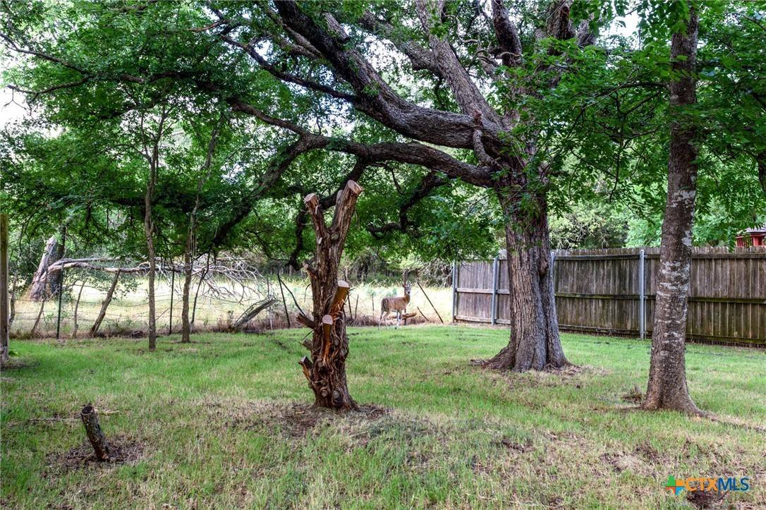 Belton, TX 76513,36 Bluebonnet DR