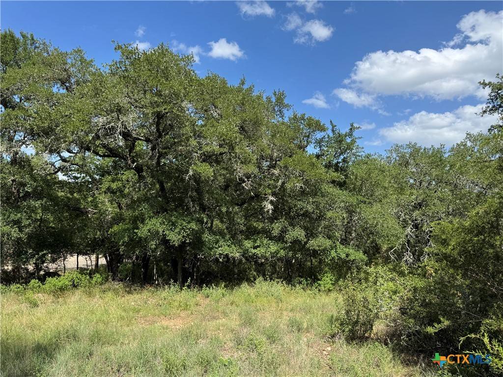 San Marcos, TX 78666,221 Hunters Glen RD