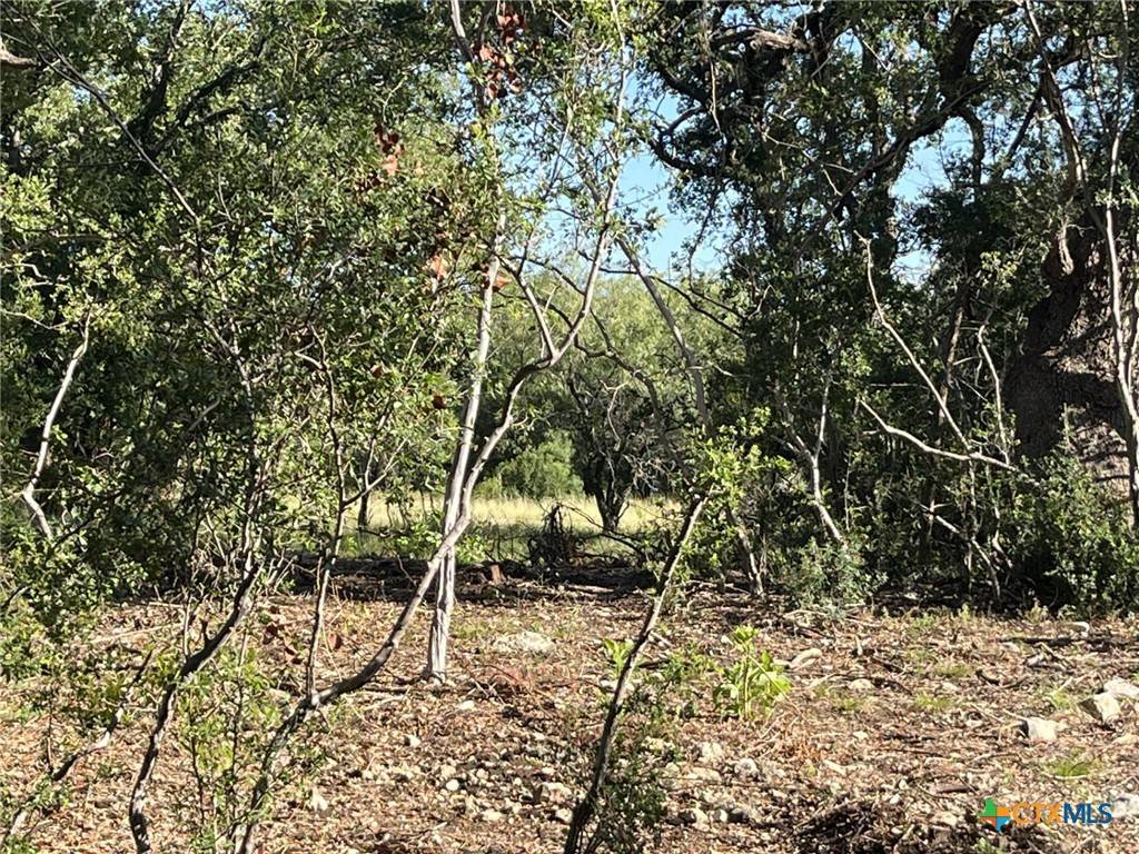 Spring Branch, TX 78070,0 Rolling Creek ST