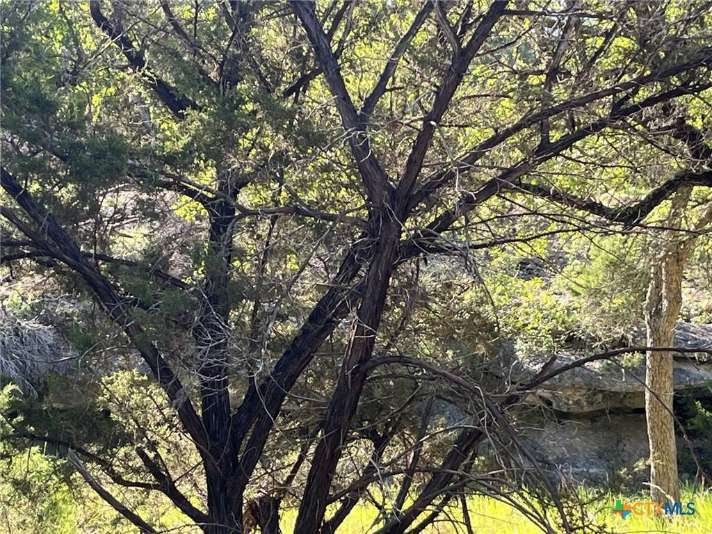 Spring Branch, TX 78070,0 Rolling Creek ST