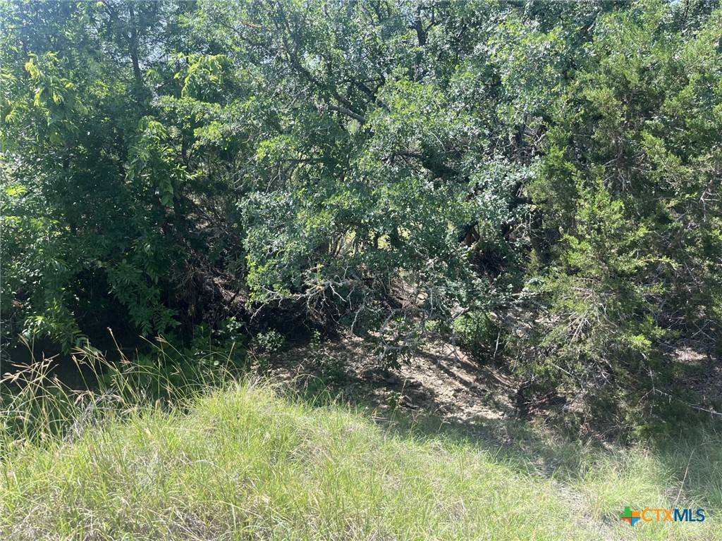 Canyon Lake, TX 78133,1809 Desiree ST