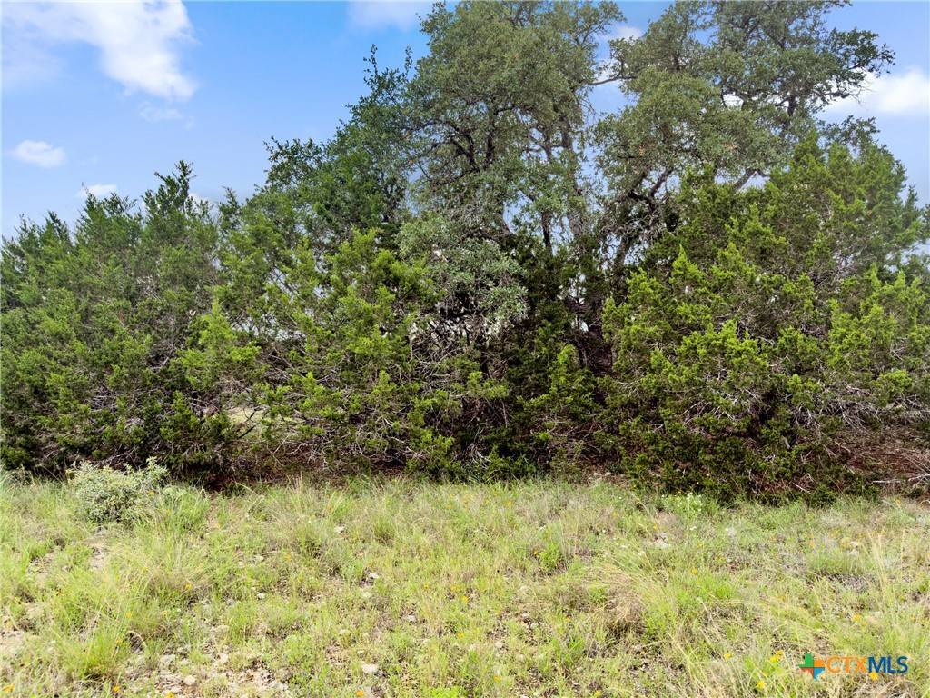 Spring Branch, TX 78070,141 Vista View PL