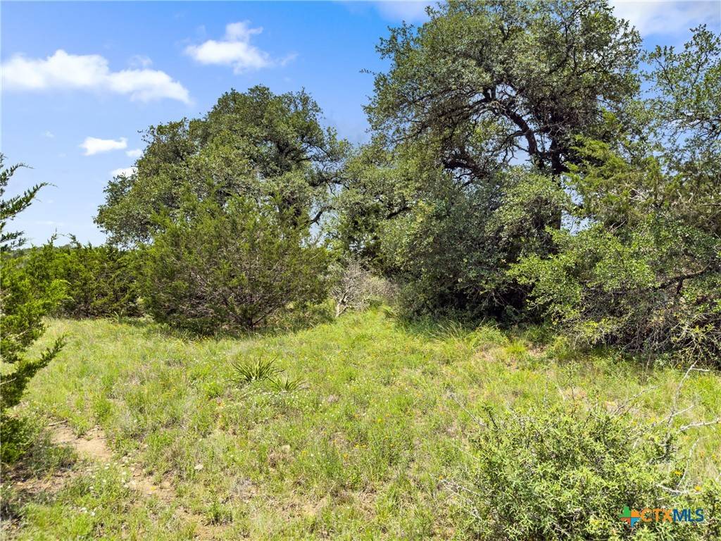 Spring Branch, TX 78070,141 Vista View PL
