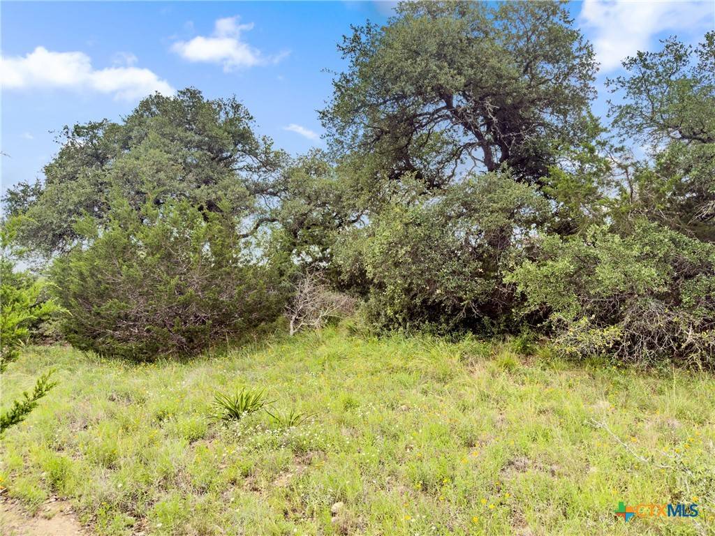 Spring Branch, TX 78070,141 Vista View PL