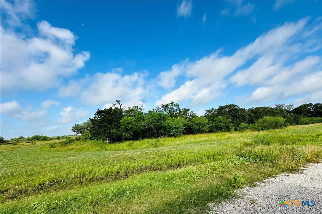 Inez, TX 77968,LOT 10 Sydnie Ranch RD