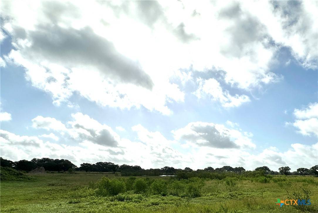 Inez, TX 77968,LOT 10 Sydnie Ranch RD