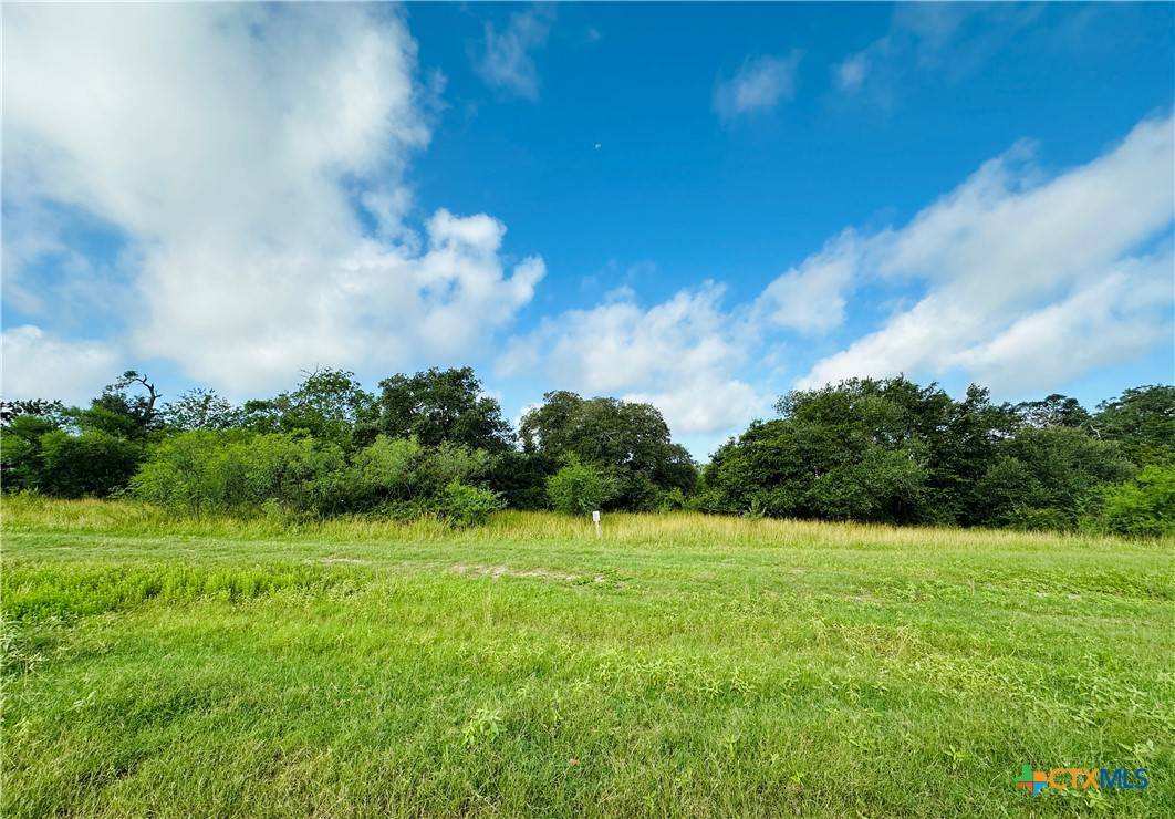Inez, TX 77968,LOT 10 Sydnie Ranch RD