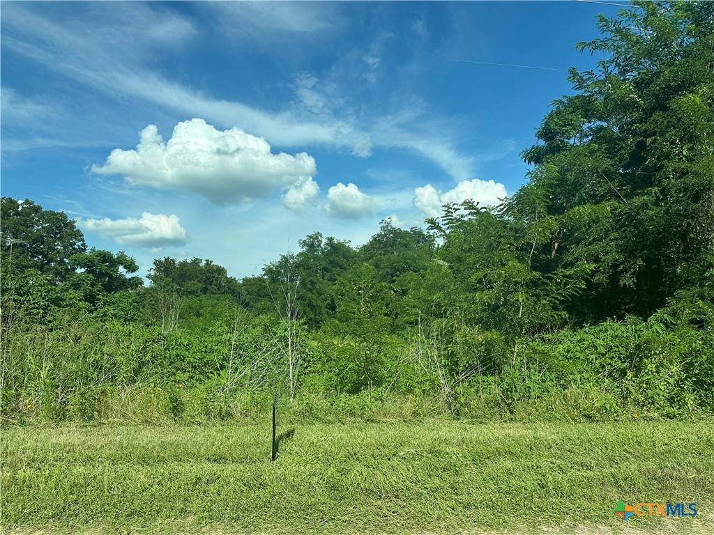Marlin, TX 76661,TBD County Road 287