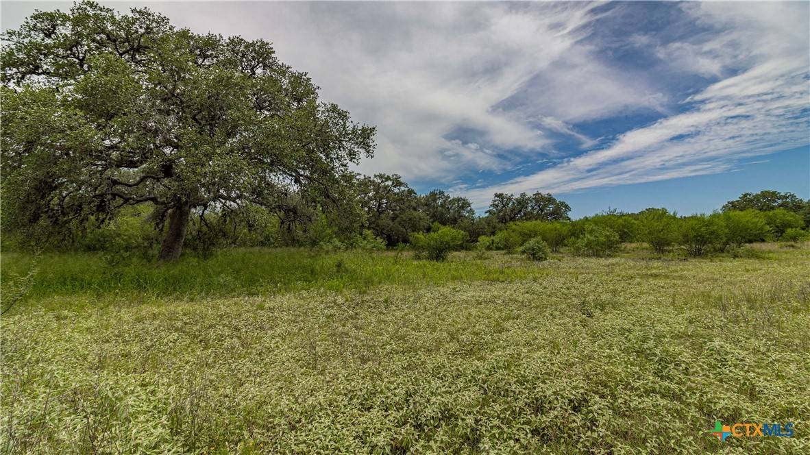 Beeville, TX 78102,000 Hwy 181