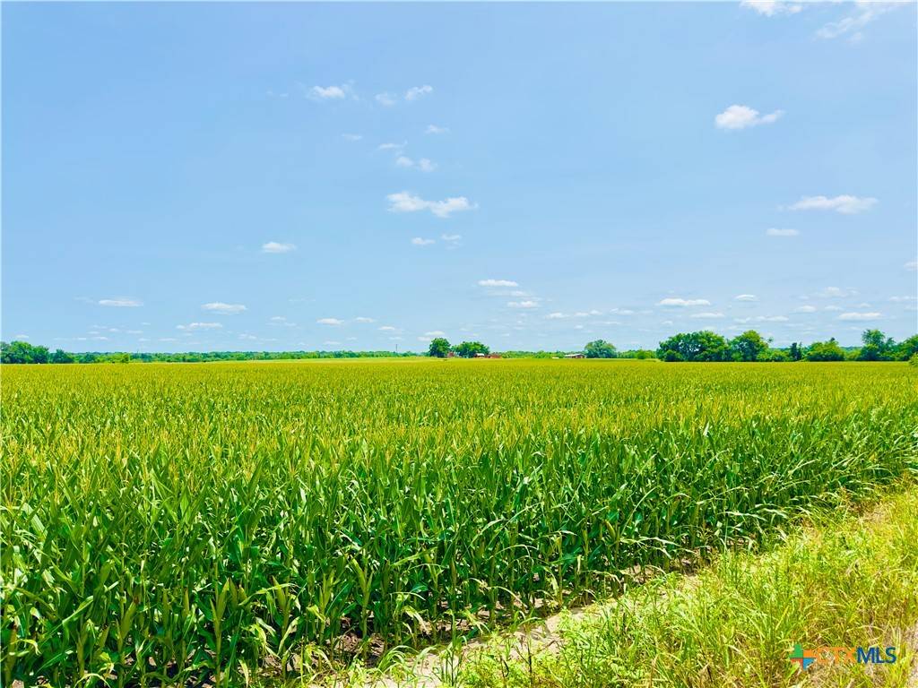 Buckholts, TX 76518,TBD2 CR 406