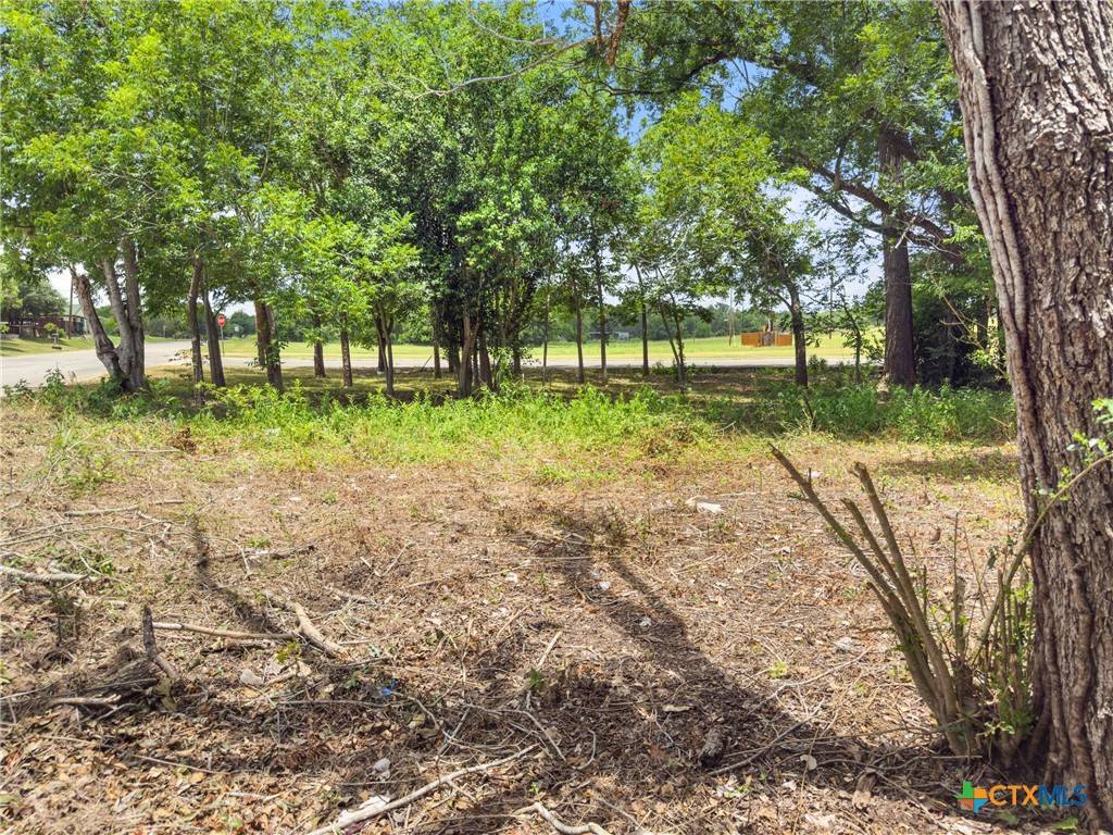 Luling, TX 78648,1140 N Hackberry AVE