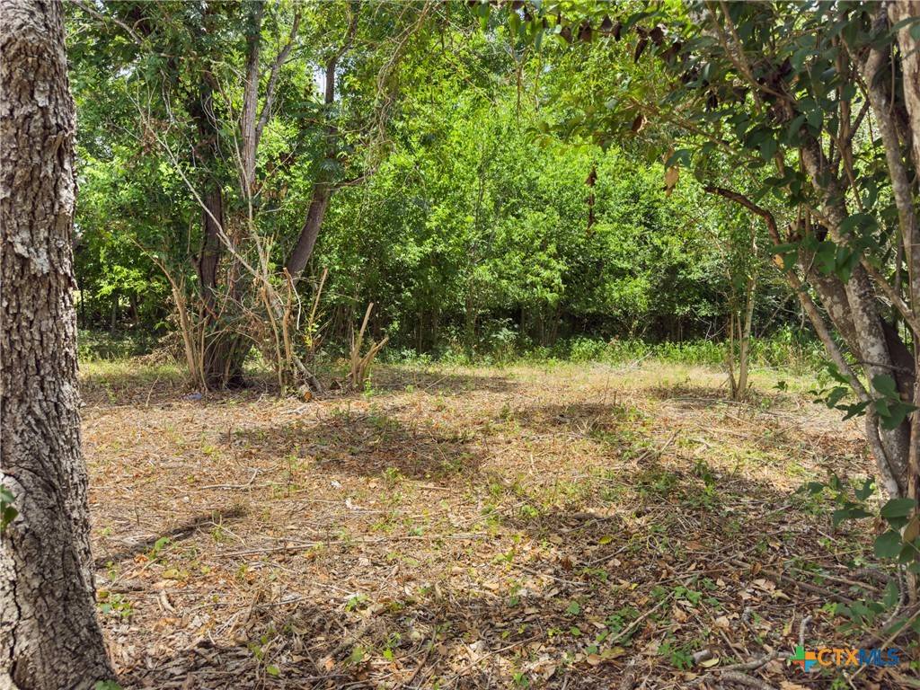 Luling, TX 78648,1140 N Hackberry AVE