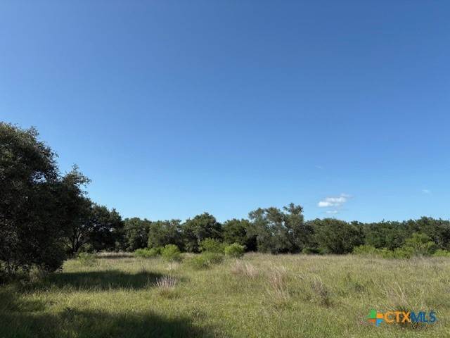 Goliad, TX 77963,00 Spanish Grant Rd
