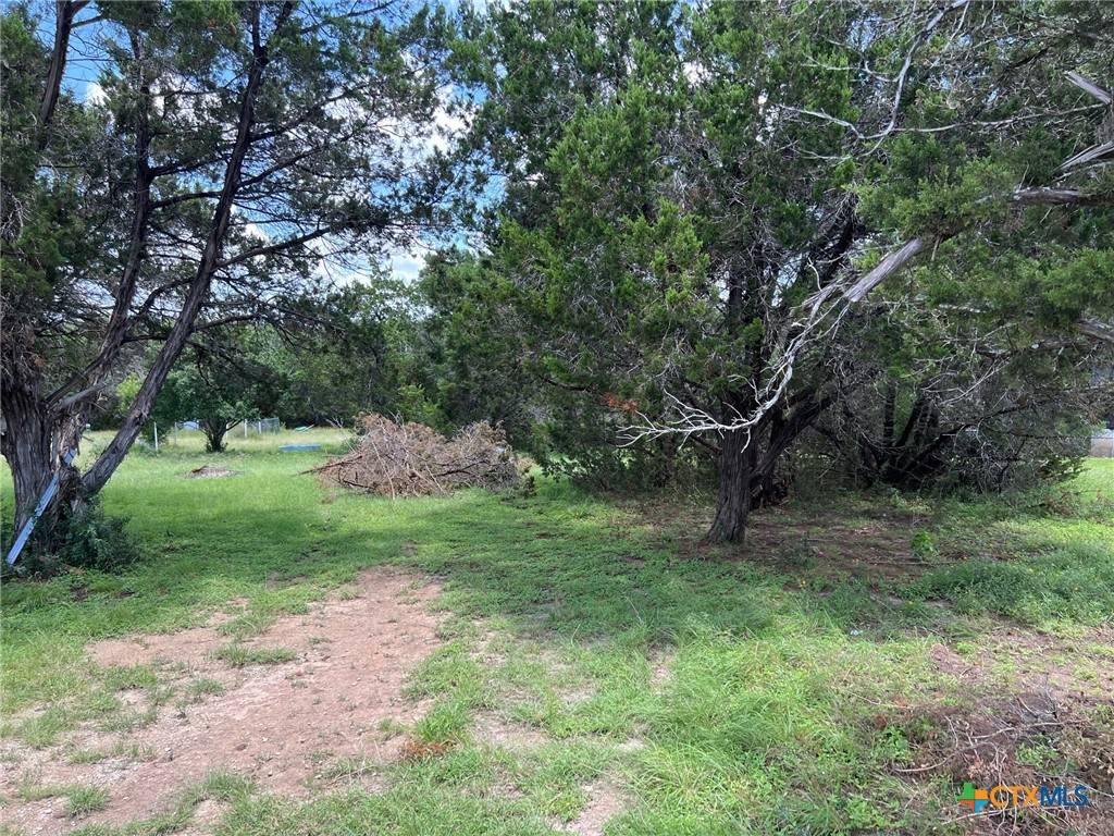Spring Branch, TX 78070,TBD CHAD WAY