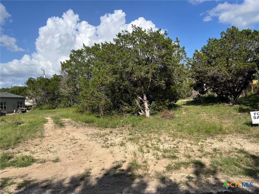 Canyon Lake, TX 78133,270 Ridgerock DR