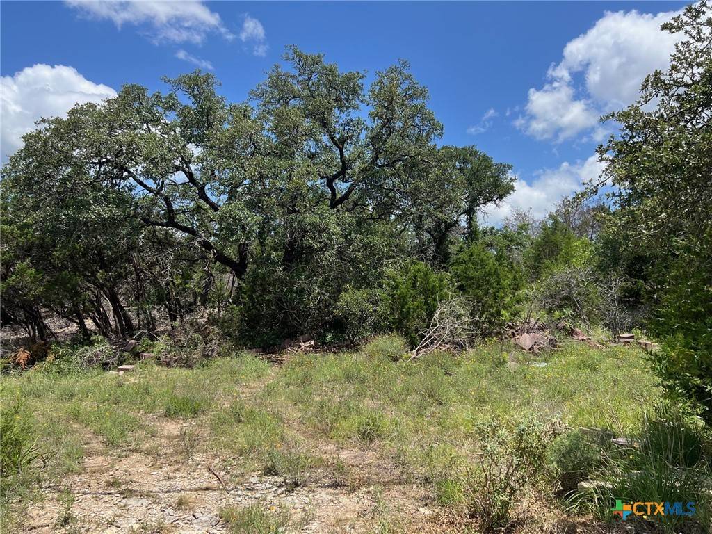Canyon Lake, TX 78133,270 Ridgerock DR
