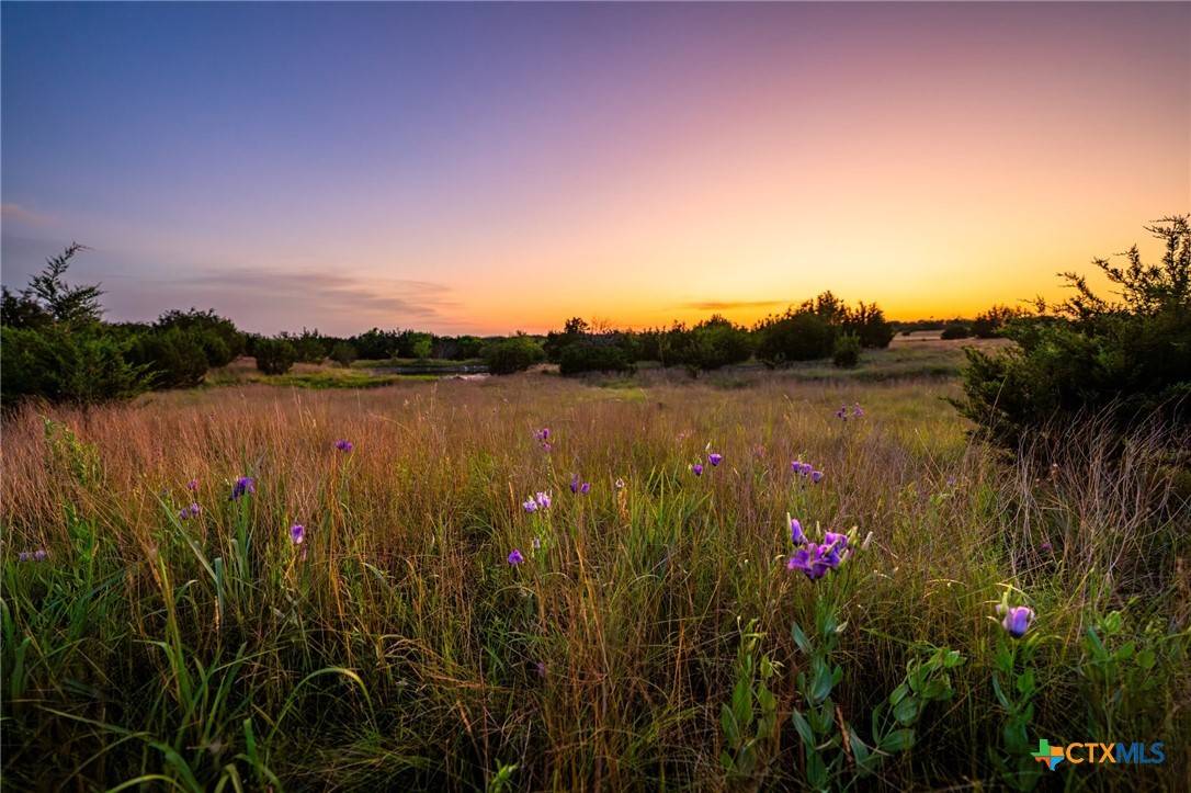 Lampasas, TX 76528,1305 County Road 3800