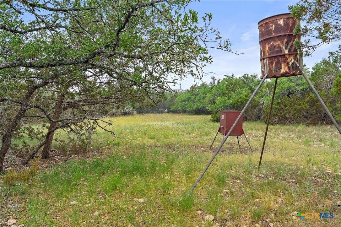 Harper, TX 78631,TBD Mary LN