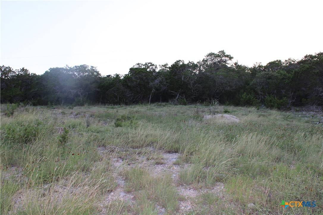 Canyon Lake, TX 78133,2041 Fuller DR