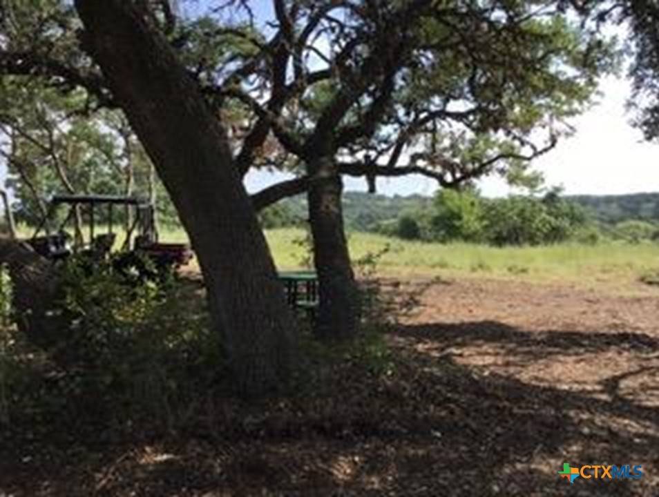 Johnson City, TX 78636,207 Verbena CT