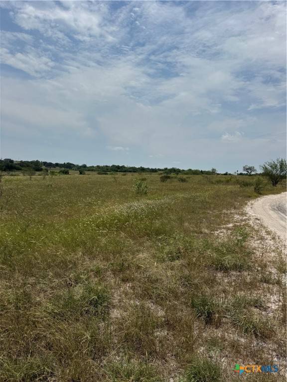 Smiley, TX 78159,TBD Tract D County Road 304