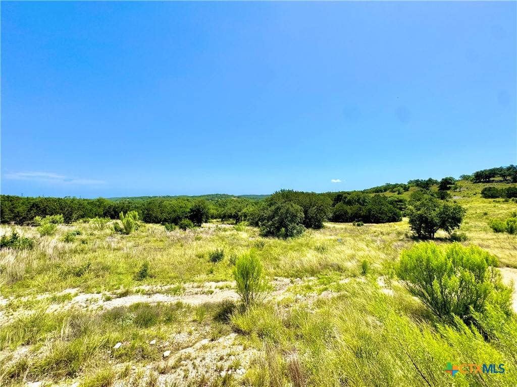 Bulverde, TX 78163,833 Bell Canyon Way