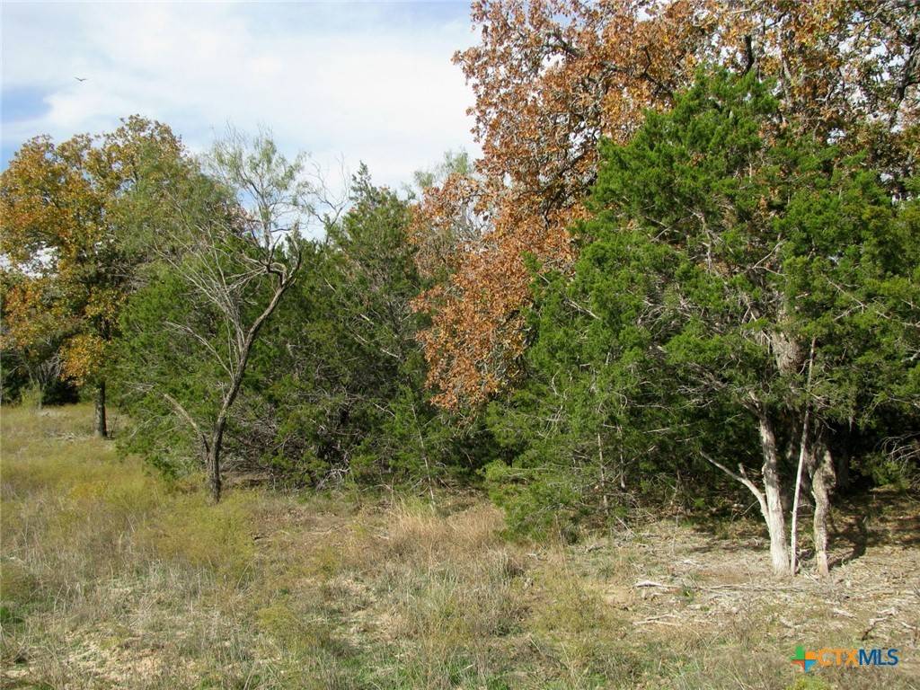 Evant, TX 76566,Lot 140 Ph 6 County Road 421