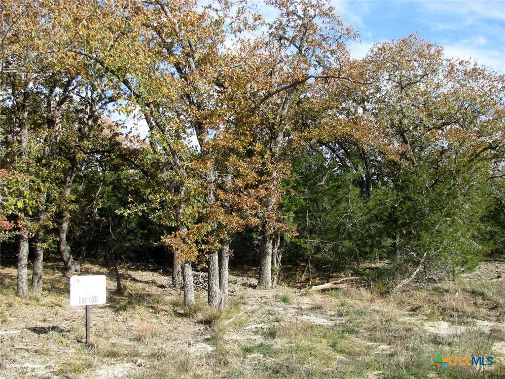 Evant, TX 76566,Lot 140 Ph 6 County Road 421