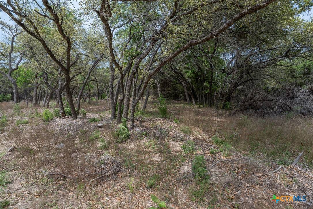 Lago Vista, TX 78645,7902 Powder CV