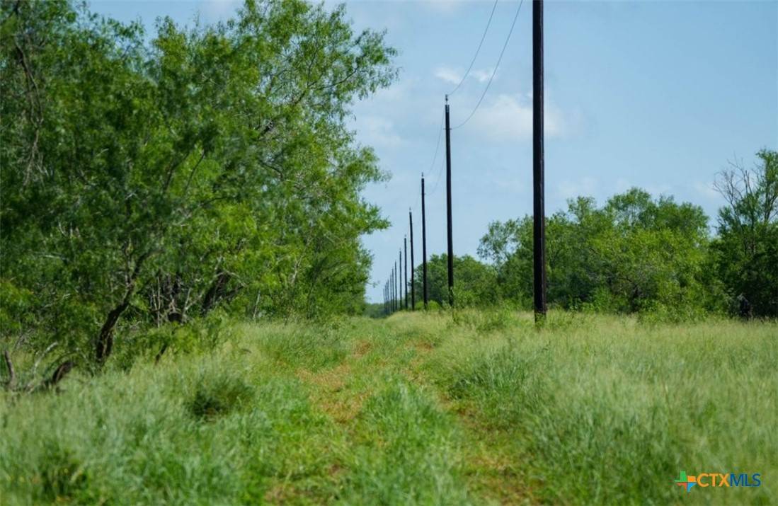 Three Rivers, TX 78071,000 County Road 241