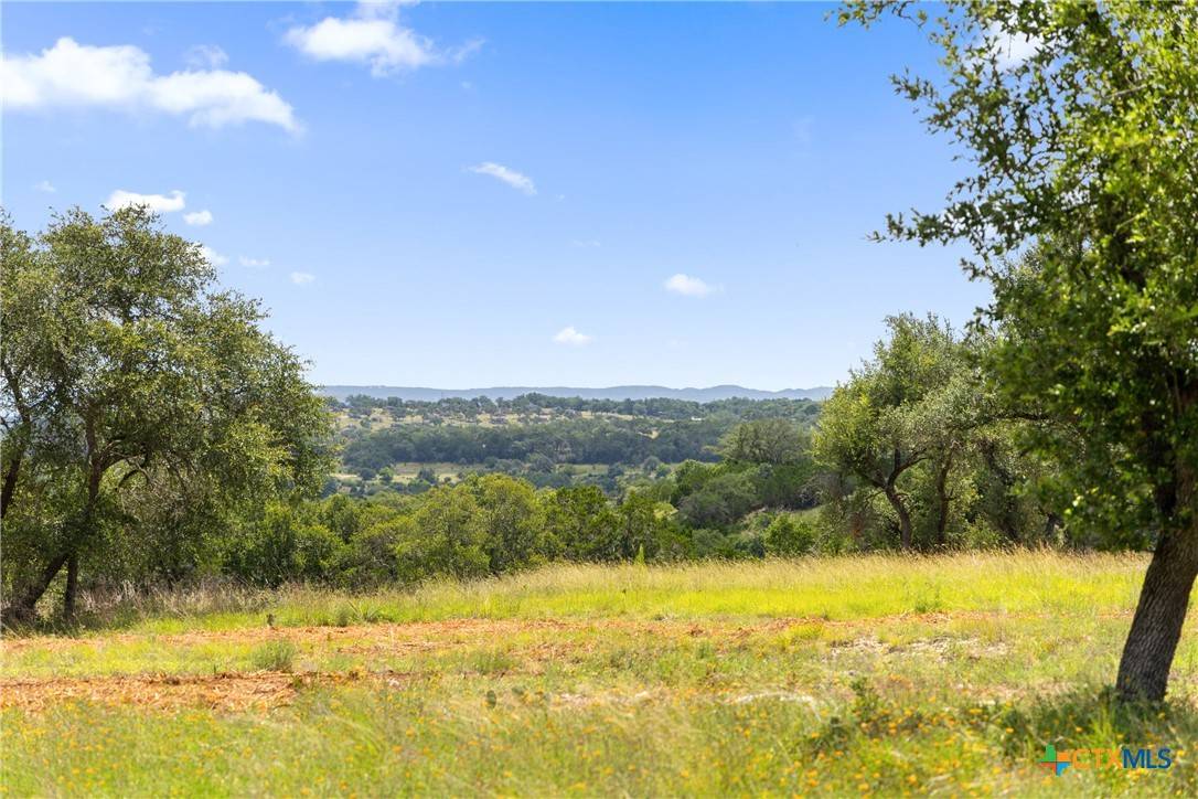 Canyon Lake, TX 78133,2160 Andalusia