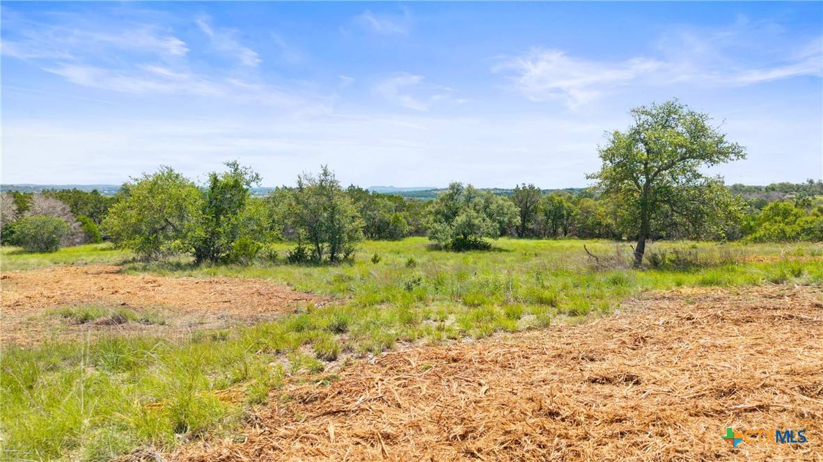 Canyon Lake, TX 78133,2164 Andalusia