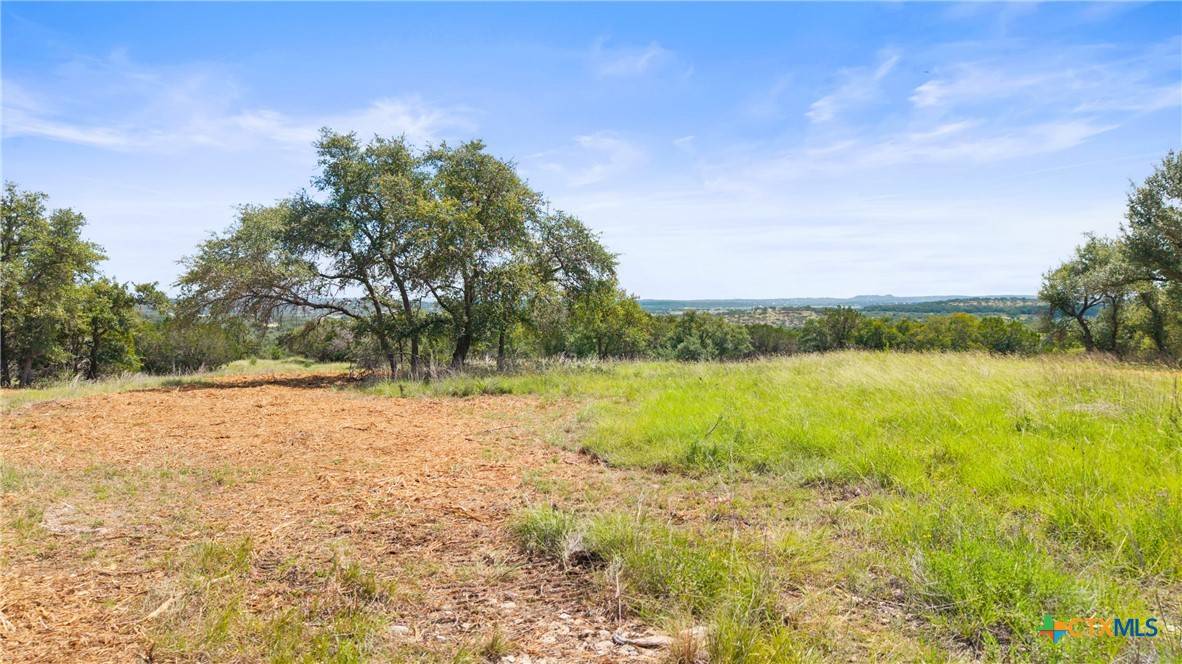 Canyon Lake, TX 78133,2164 Andalusia
