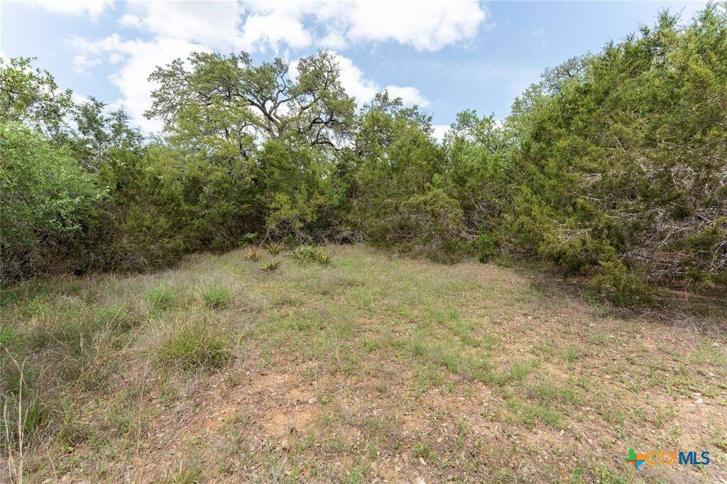 Austin, TX 78737,13921 Nutty Brown RD